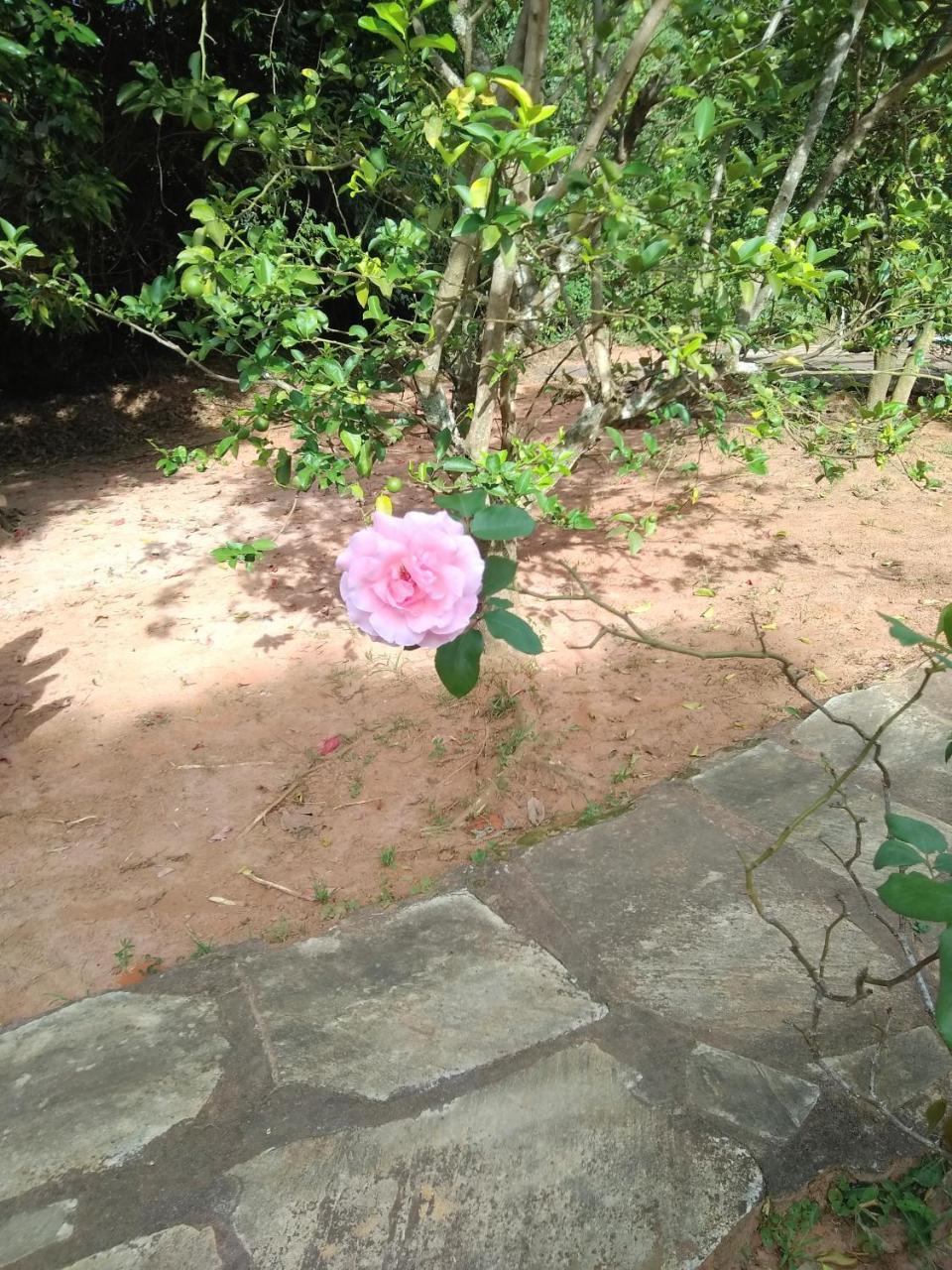 Sitio Vale Das Montanhas São Tomé das Letras Buitenkant foto