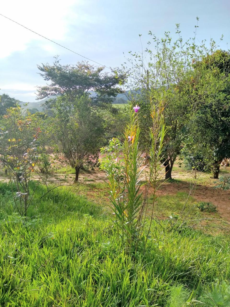 Sitio Vale Das Montanhas São Tomé das Letras Buitenkant foto