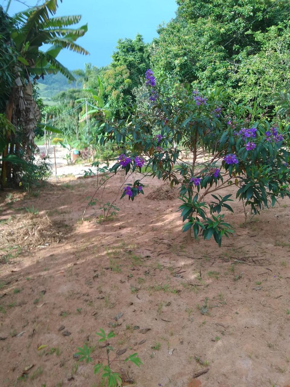 Sitio Vale Das Montanhas São Tomé das Letras Buitenkant foto